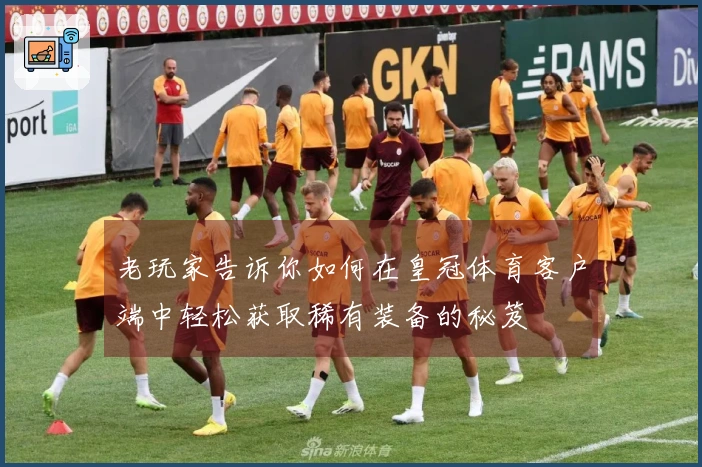 老玩家告诉你如何在皇冠体育客户端中轻松获取稀有装备的秘笈