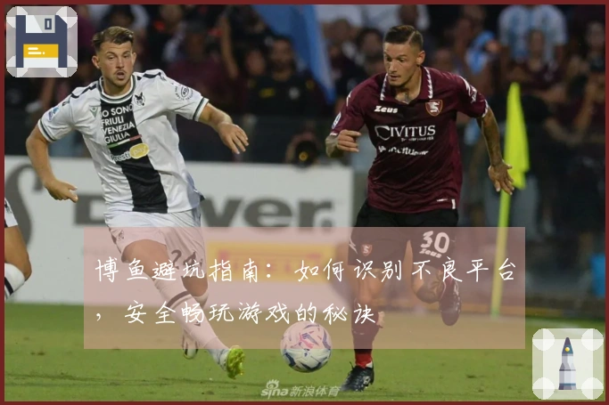 博鱼避坑指南：如何识别不良平台，安全畅玩游戏的秘诀