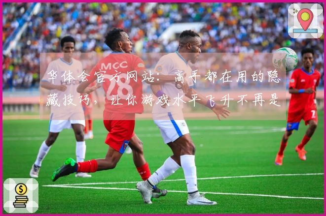 华体会官方网站：高手都在用的隐藏技巧，让你游戏水平飞升不再是梦