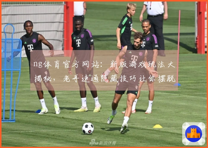 ng体育官方网站：新版游戏玩法大揭秘，老手速通隐藏技巧让你摆脱卡关困境